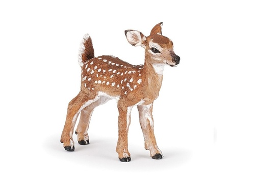 [12336] Fawn (White-Tailed)