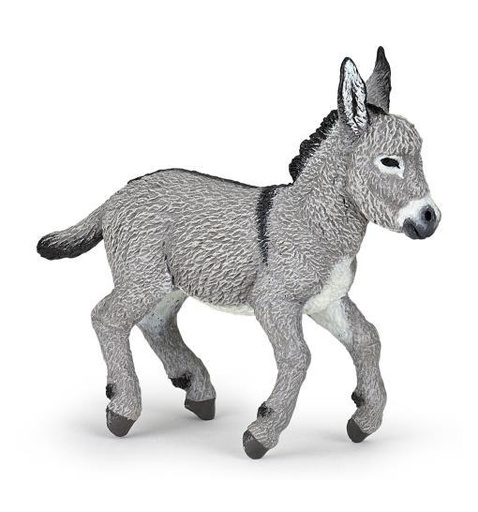 [12065] Foal, Provence Donkey
