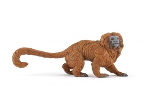 [15045] Golden Lion Tamarin