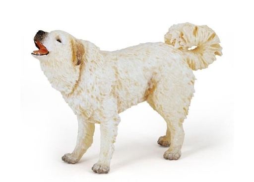 [14297] Great Pyrenees