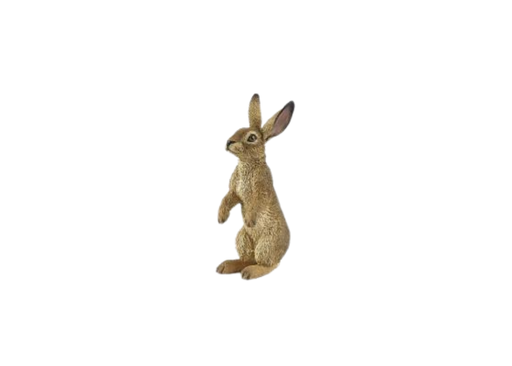 [12061] Hare - Standing