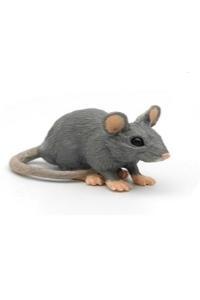 [7625] House Mouse