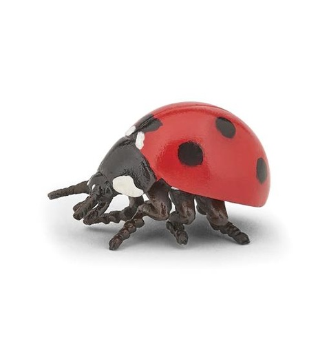 [12318] Ladybird