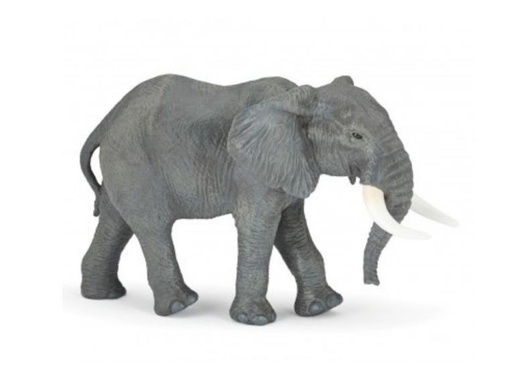 [14011] Large African Elephant