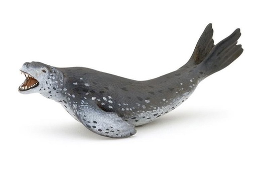 [14022] Leopard Seal