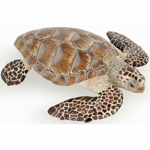 [7835] Loggerhead Turtle
