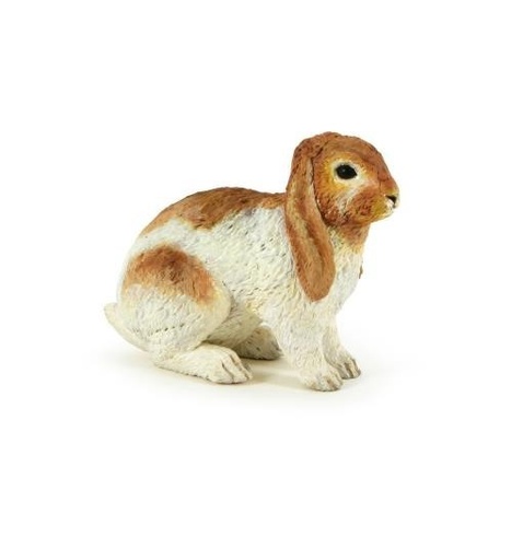 [11025] Lop Rabbit