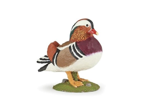 [14008] Mandarin Duck