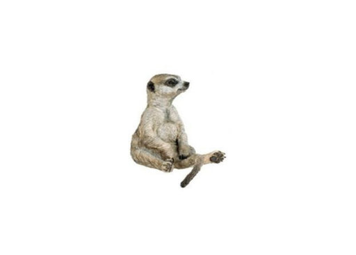 [7626] Sitting Meerkat
