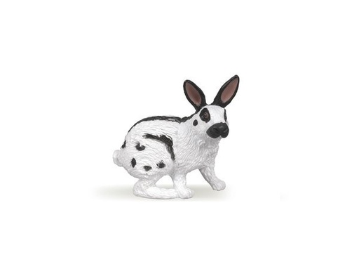 [2225] Papillon Rabbit