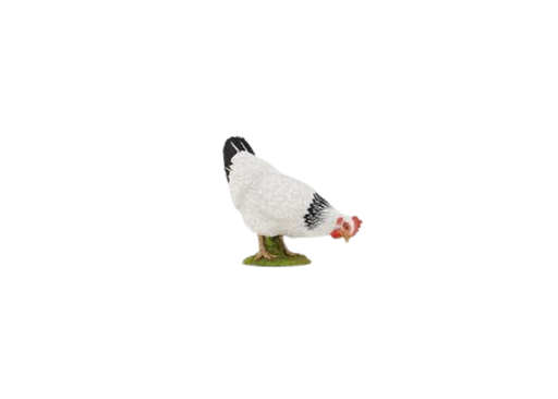 [7879] Pecking White Hen