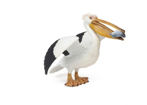 [14007] Pelican