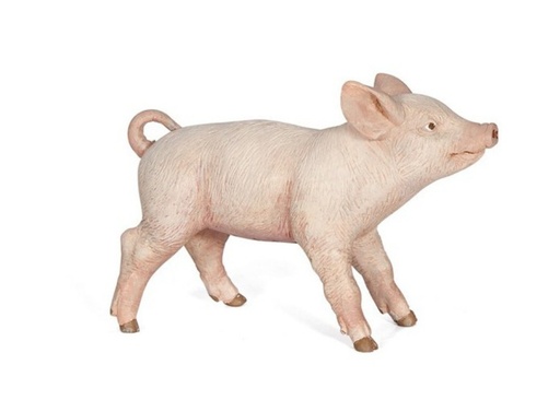 [7631] Female Piglet