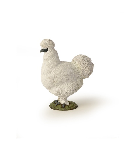 [11365] Silkie Chicken