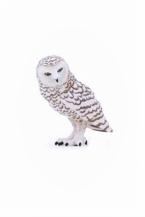 [7622] Snowy Owl