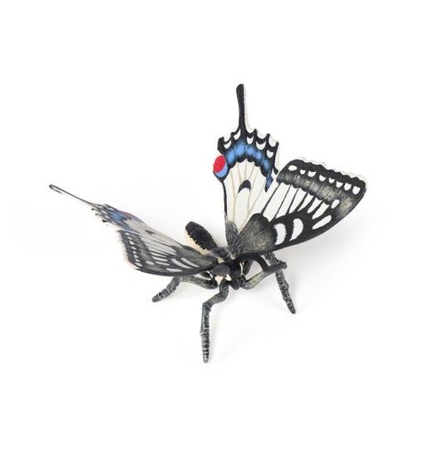 [12755] Swallowtail Butterfly