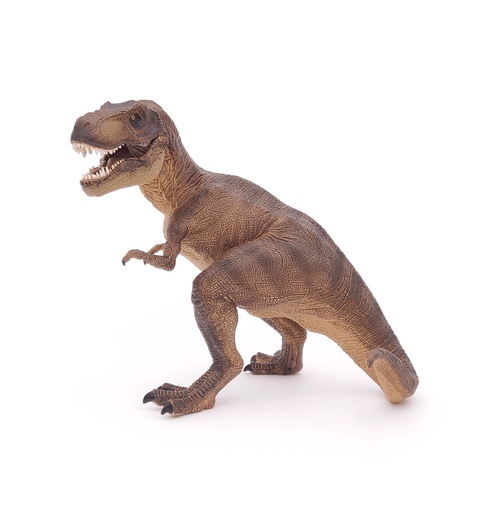 [1177] Tyrannosaurus Rex