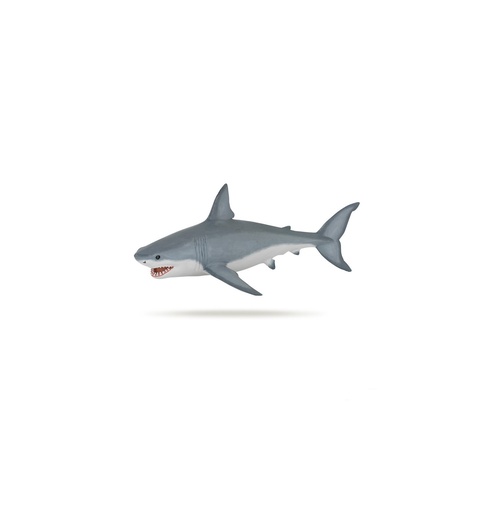 [11358] White Shark
