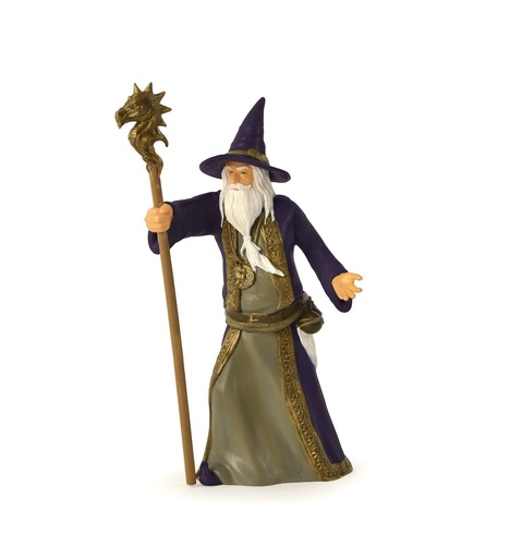 [8977] Wizard