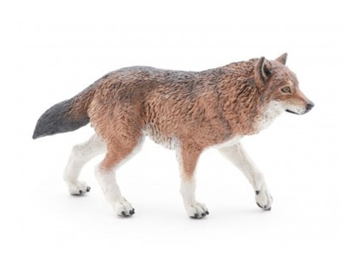 [15041] Wolf