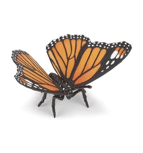 [13011] Butterfly