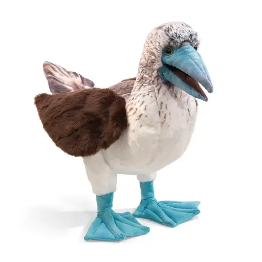 [18230] Blue Footed Booby