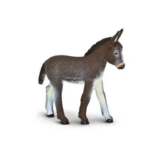 [19552] Donkey Foal