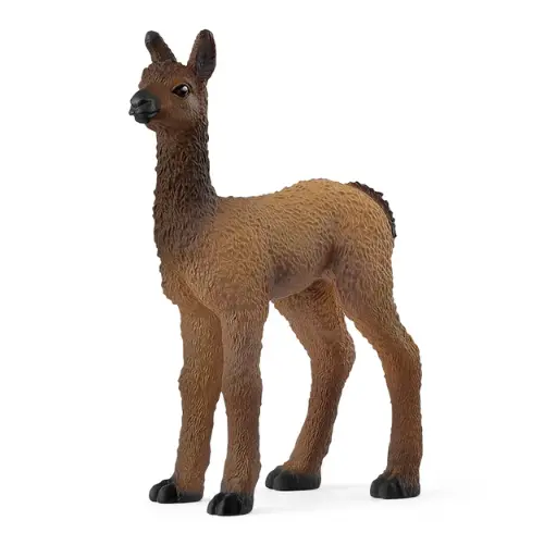 [20299] Llama Foal